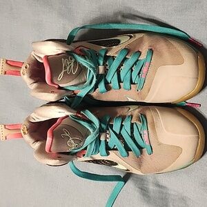 Lebron 9 south beach